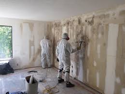 Best Industrial Mold Remediation in Rosemont, PA